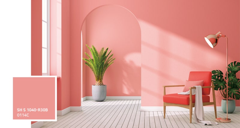 Sơn Nhà Màu Hồng Ngọt Ngào Tươi Sáng Đẹp Nhất 2025